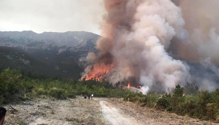 Studenti roštiljali i zapalili šumu u Italiji. Kažnjeni s 13,5 milijuna eura